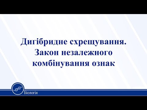 Видео: Дигібридне схрещування. Закон незалежного комбінування ознак. Біологія 11 клас