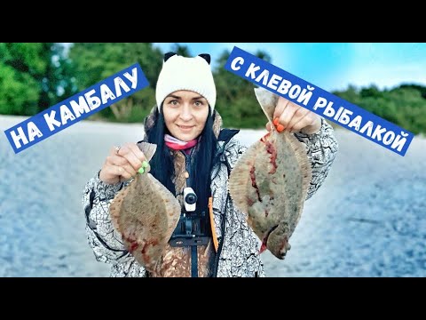 Видео: КЛЕВАЯ РЫБАЛКА на море . Ловим камбалу в Балтийском море .