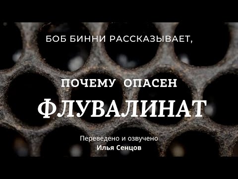 Видео: Почему ФЛУВАЛИНАТ опасен и зачем нужна ротация соторамок (Боб Бинни, США)