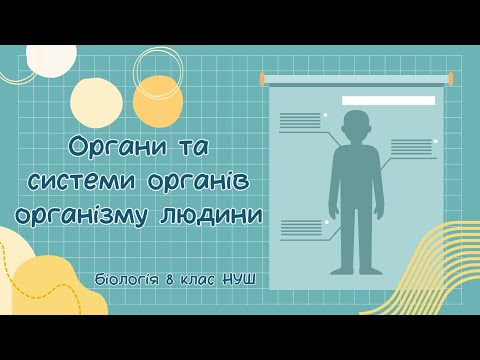 Видео: Біологія 8 клас НУШ  Органи та системи органів організму людини