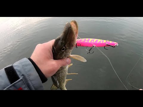 Видео: Твичинг воблеров  Рудра  Драга . Ловля щуки на спиннинг . Воблеры на щуку. Твичинг для начинающих