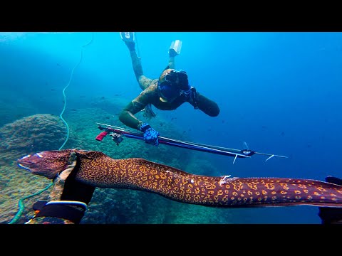 Видео: КУЧА ОСЬМИНОГОВ И СТРАШНЫЕ МУРЕНЫ ПОВСЮДУ🐙ПОДВОДНАЯ ОХОТА В ИСПАНИИ