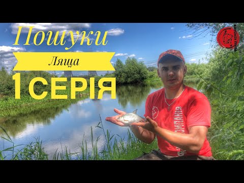 Видео: З Фідером за ЛЯЩЕМ. Рибалка на р.Стир під похиленою вербою. 1 Серія.