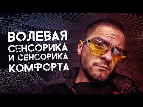 Видео: Волевая Сенсорика и Сенсорика Комфорта. Cоционика