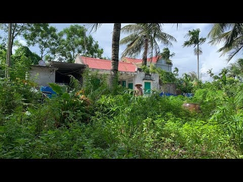 Видео: Помогите пожилой паре убраться в саду Шокирующее преображение - Cleanup Overgrown