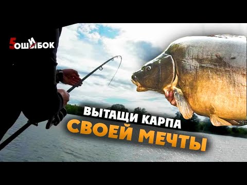 Видео: Как вытянуть крупного карпа. От поклевки до подсака.