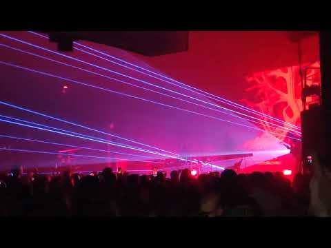 Видео: "Собака" Дельфин в клубе Аврора 14.02.2025г.