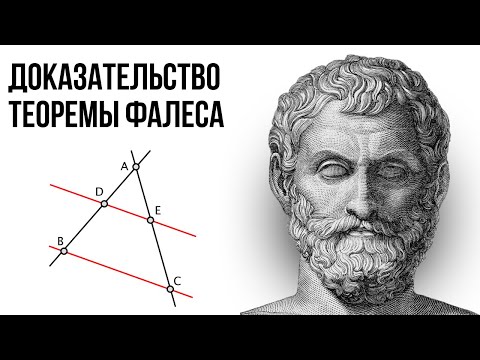 Видео: Доказательство теоремы Фалеса