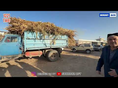 Видео: БЕРУНИЙ УТ ЕМ ХАШАК БОЗОРИ 5 КИСМ 02.11.2025