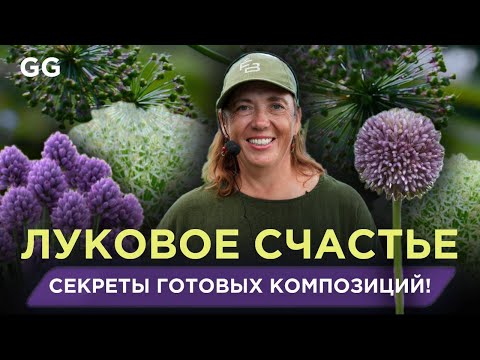 Видео: Луковое счастье в саду! Декоративный лук от посадки до цветения