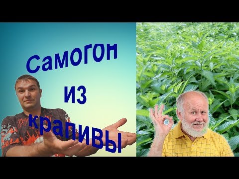 Видео: Полезная настойка из крапивы