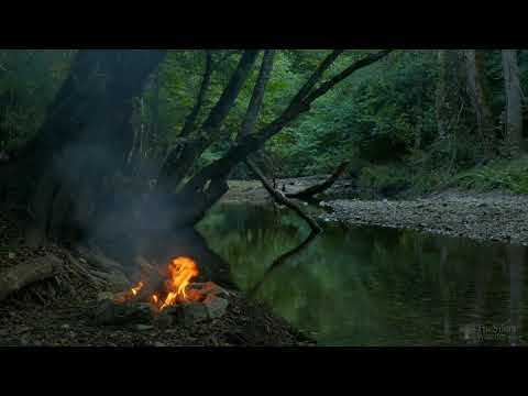 Видео: 🔥Костёр на берегу реки! 🌲Звуки природы, костра, 🐦пение птиц, 💧шум воды, 💆для медитации и релаксации!
