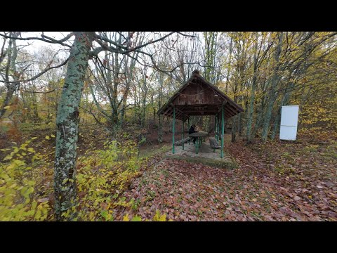 Видео: Аврен - Черничево  08.11.2025 година