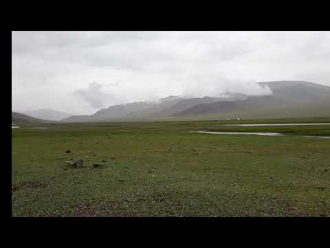 Видео: Гурванбулагийн уянга үгтэй