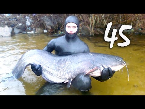 Видео: ПОДВОДНАЯ ОХОТА на СОМА и СУДАКА