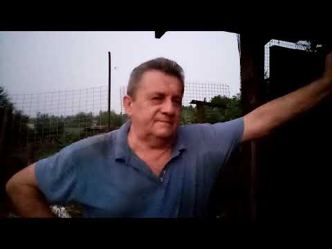 Видео: определение беременности по соскам у нутрий | ответы на вопросы подписчиков ( 1 часть )