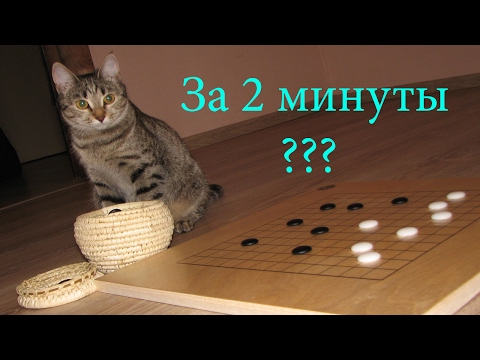 Видео: Объяснение правил игры Го за 2 минуты