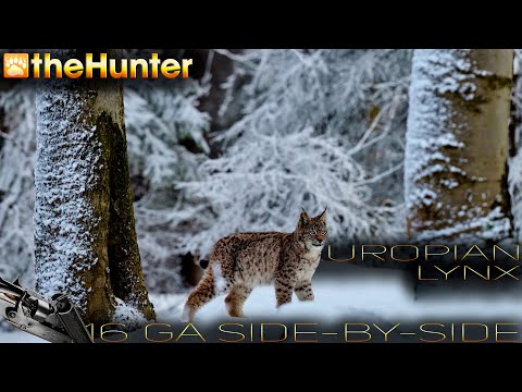 Видео: ♢ theHunter Classic ♢ ОБЫКНОВЕННАЯ РЫСЬ ♢ 16 "горизонталка" ♢