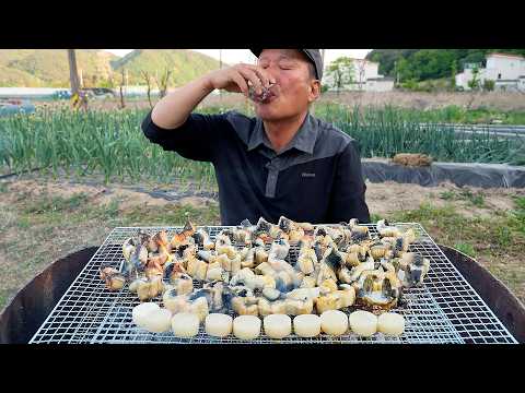 Видео: Пресноводный угорь и гребешки, приготовленные на гриле на углях, подаются с соджу — Mukbang