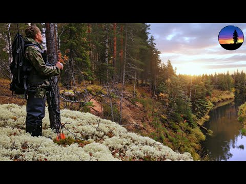 Видео: Тайга, Деревня, Хариус, Боровики, Медведи. Огромный Зверь Средь Бела Дня Пришёл к Палатке. Изба.