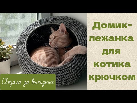Видео: Лежанка-гнездо для кошки. Питомец точно будет в восторге!