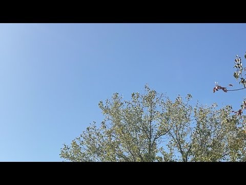 Видео: Daniella Дана Yussupbek is live!