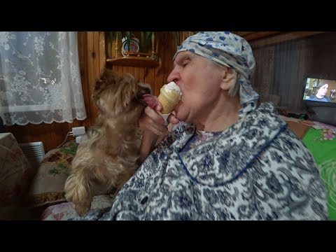 Видео: ВЛОГ Мороженое / Женька и мама отжигают 😱🙈🤣 / Надо поддержать Любашу  27 апреля 2020 г.