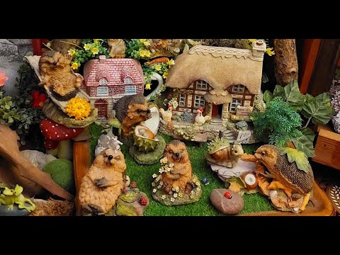 Видео: хобби, как снятие стресса или просто жить не скучая