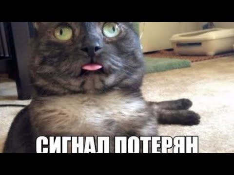 Видео: Колдушка и бес