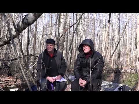 Видео: Алексей Петров  (Decorator). Интервью в программе ДЕПРСНА