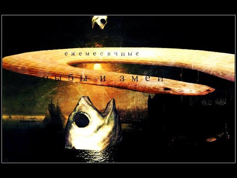 Видео: ежемесячные  - из говна и палок