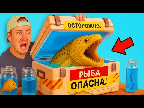 Видео: Я Купил Всех Странных Морских Существ В Рыбном Магазине