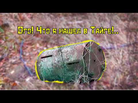 Видео: ОГО, что я нашёл в тайге!..