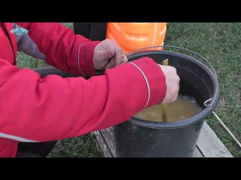 Видео: Наиважнейшая позднеосенняя обработка сада и виноградника!