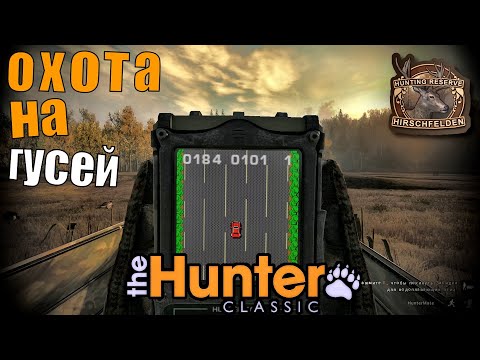 Видео: Расслабляющая охота на канадских казарок – The Hunter Classic.