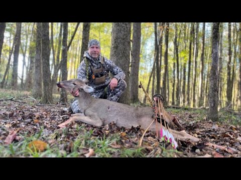 Видео: ЛОНГБОУ ДОУ ДАУН ИНСИНТ