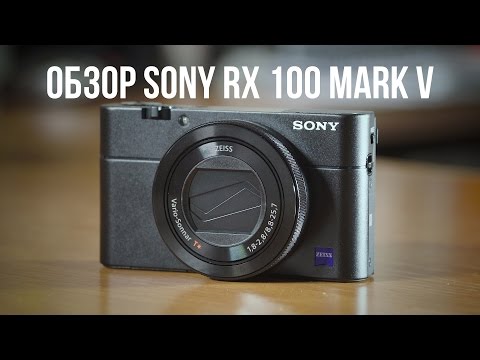 Видео: Мелкая зверюга. Обзор Sony RX 100 mark 5.