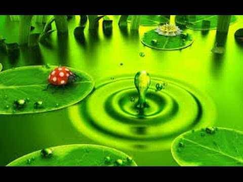 Видео: Хочи Мирзо-ам-020 Боби Рамазон 3