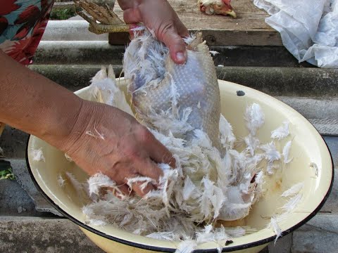 Видео: Как я продал ПУХ-ПЕРО!!!