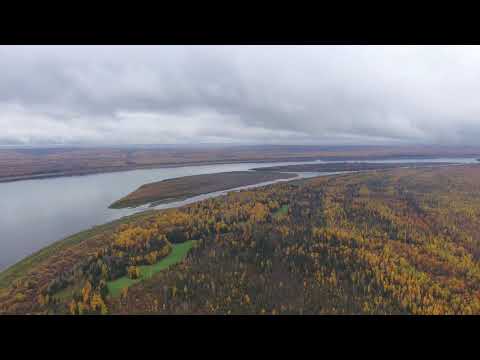 Видео: Посёлок Бор 1 (4K)