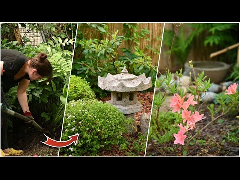 Видео: Как создать идеальный сад для "ленивого" садовода/ Японский сад в Подмосковье
