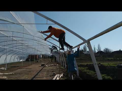 Видео: как накрыть теплицу
