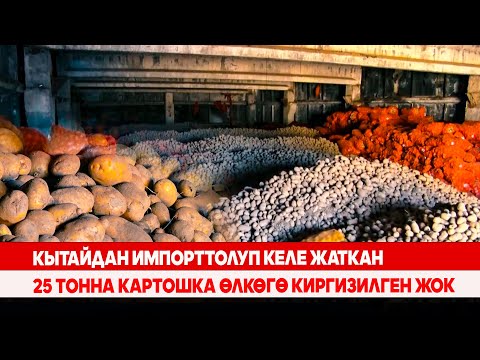 Видео: Кытайдан импорттолуп келе жаткан 25 тонна картошка өлкөгө киргизилген жок