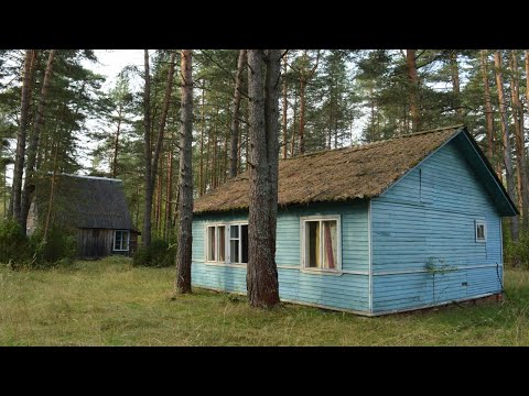 Видео: Заброшенная база отдыха в сосновом лесу. Владимирская область