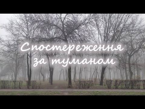 Видео: Спостереження за туманом