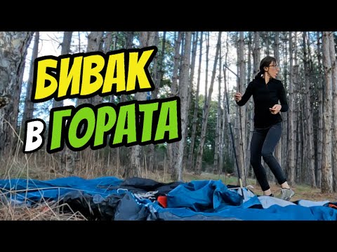 Видео: 5 ВИДА РИБА и КУЛИНАРИЯ на Малко Шарково и Тунджа. БРУТАЛЕН УДАР, помислих го за СОМ, а се оказа...