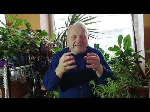 Видео: Как по умному проверить всхожесть семян, чем их обработать и как проверить торфяной субстрат