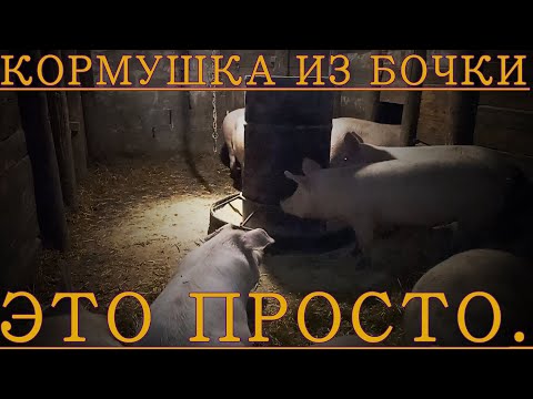 Видео: Супер бюджетная бункерная кормушка для свиней из 200-от литровой бочки.