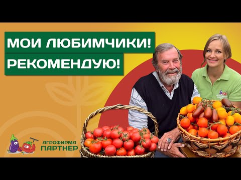 Видео: КАКИЕ ТОМАТЫ ПРЕДПОЧИТАЕТ НИКОЛАЙ ПЕТРОВИЧ ФУРСОВ?
