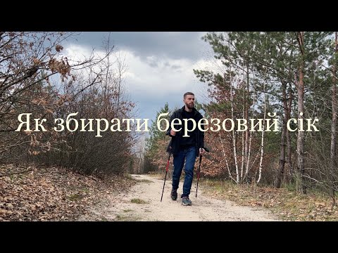 Видео: Березовий сік.Весняний збір.Дари лісу